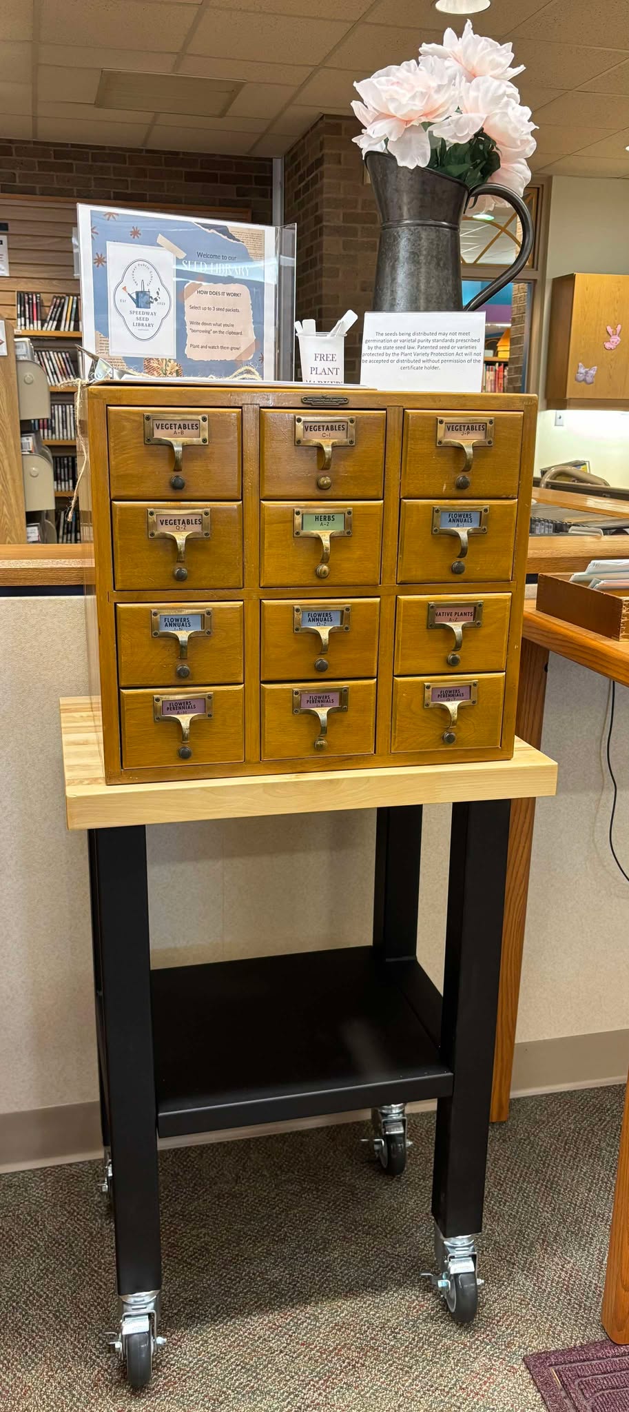 Photo of the seed library